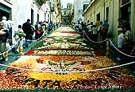 infiorata - foto luigi nifosì